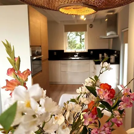 Escape To The And Sea *