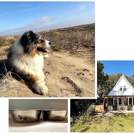 Casa de Férias Escape To The And Sea *