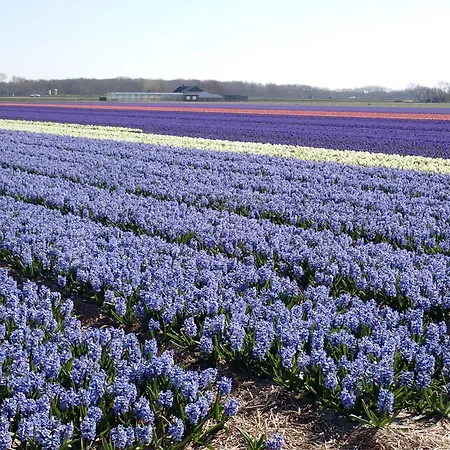 Escape To The And Sea Sint Maartensbrug